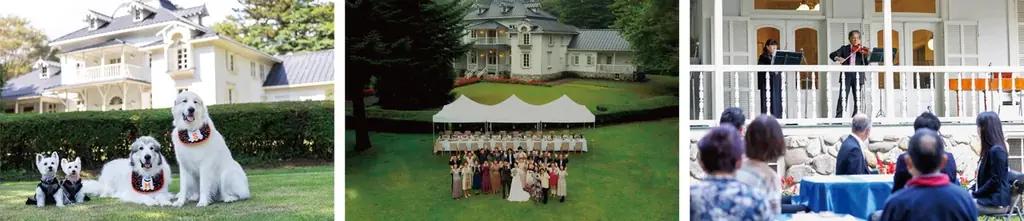 【7/27・28限定】八芳園シェフと栃木県立那須拓陽高校の生徒が共同でレシピを開発したクッキー、大阪・関西万博オーストリアパビリオンにて2日間限定販売 画像 4