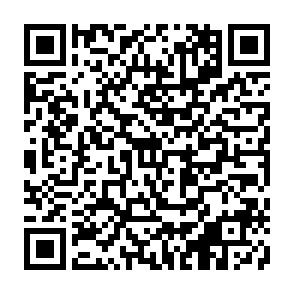 Green Festa @石巻市 マルホンまきあーとテラス 8月2日(土)開催決定！　菌ちゃんふぁーむ代表取締役 吉田俊道氏が講演 画像 6
