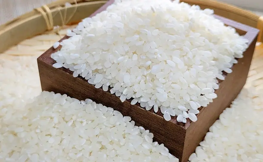 【炊飯器機能を使った1合の炊き方】浸水時間や水の量でおいしさが変わるからベストな炊き方を紹介! 画像 1