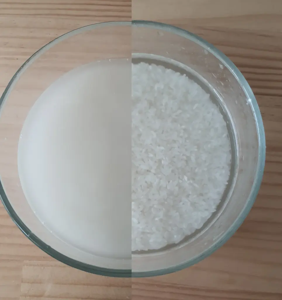 【炊飯器機能を使った1合の炊き方】浸水時間や水の量でおいしさが変わるからベストな炊き方を紹介! 画像 6