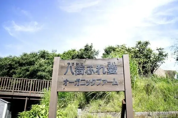 さくらフォレスト株式会社、6年ぶりに会員限定イベントを再開。第一弾は千葉でオーガニック夏野菜の収穫祭！ 画像 3