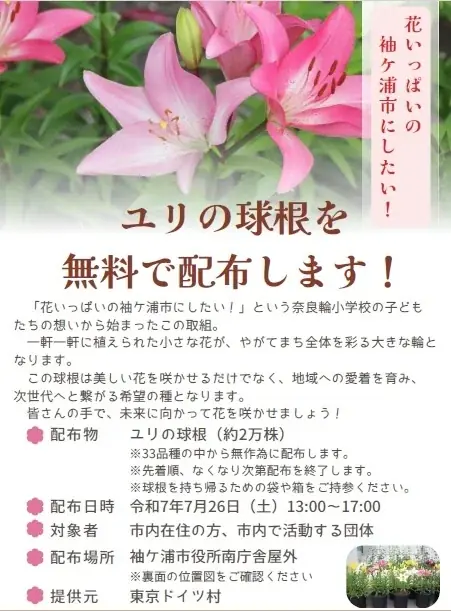 リリー・フェスティバル開催