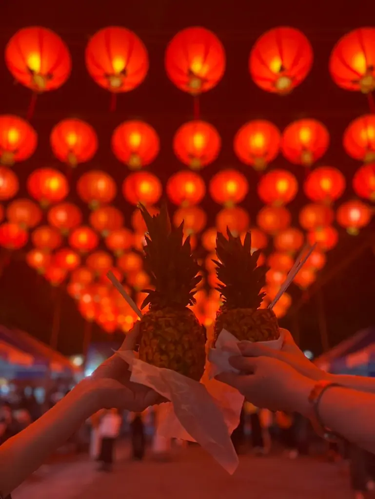 国内外から飲食30ブースが集結！国内最大級の台湾イベント「台湾フェスタ2025」今年も代々木公園で7月25日（金）～27日（日）に開催決定！ 画像 16