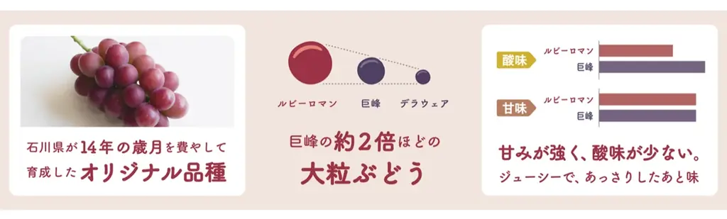 人気旅行ガイドブック「ことりっぷ」コラボ『J-CRAFT TRIPルビーロマン®サワー 新発売』 画像 2