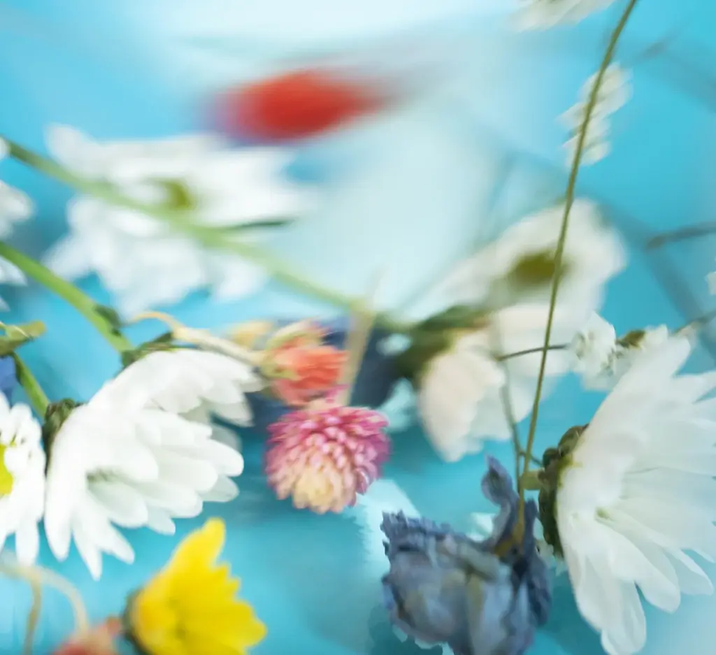 【SHIRO】LIMITED FRAGRANCE サマーブーケ 画像 1