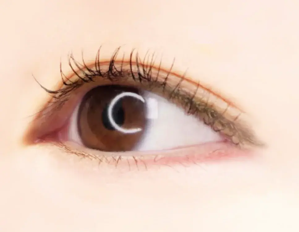 【キャンメイク40周年記念アイテム】大人気アイライナー「クリーミータッチライナー」からシアータイプが登場！2025年7月下旬より先行発売 画像 6