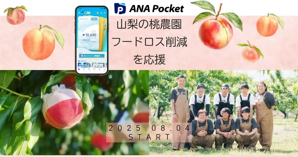 ANA Pocketで桃のフードロス削減へ 画像 2