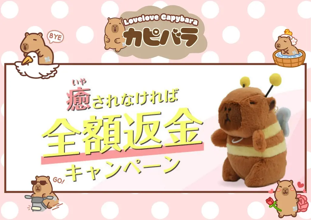 7月4日開始！チャビマル癒し保証の全額返金キャンペーン