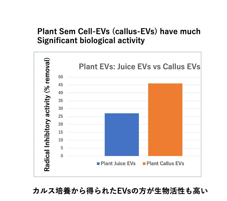 植物由来・新規化粧品原料の販売開始※！！ 画像 5
