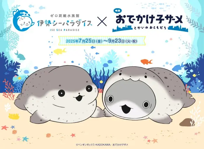 7月25日開始！伊勢シーパラダイスで子ザメちゃん夏の特別体験