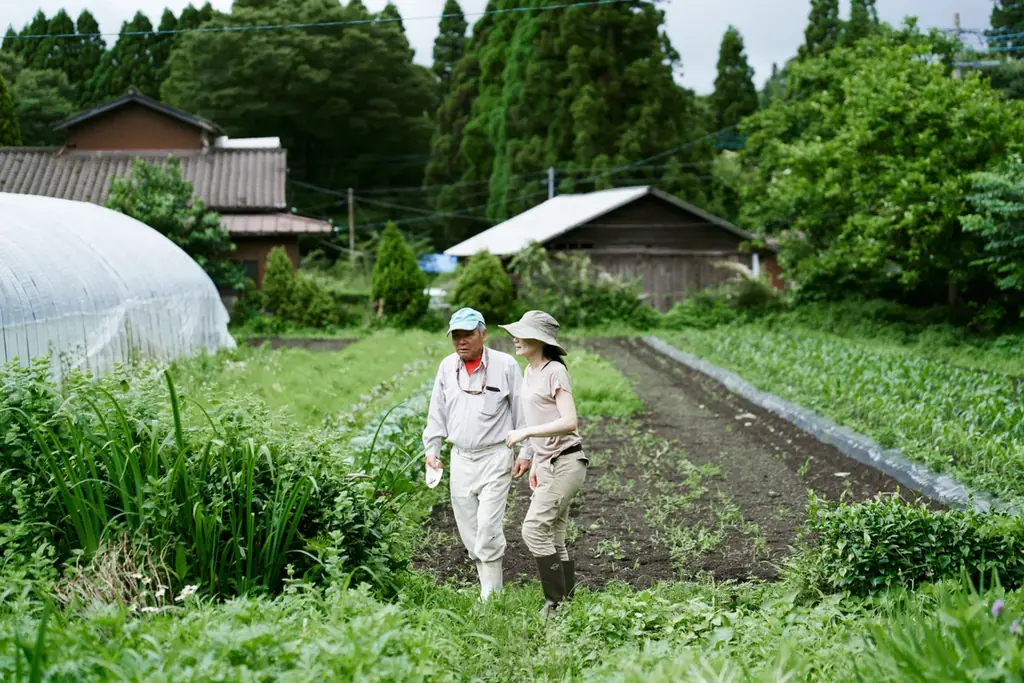 ☆世界初!?【 代官山&広尾に NEW OPEN 】Farm to Cupを体現する唯一無二な“発酵よもぎ専門”のドリンクスタンド『 THE YOMOGI STAND 』さあ、抹茶の次は、よもぎかも! 画像 6
