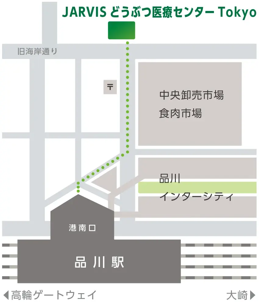 最先端の高度医療を提供する『JARVISどうぶつ医療センター Tokyo』の内覧会を 9月19日（金）～23日（火・祝）に開催いたします 画像 2