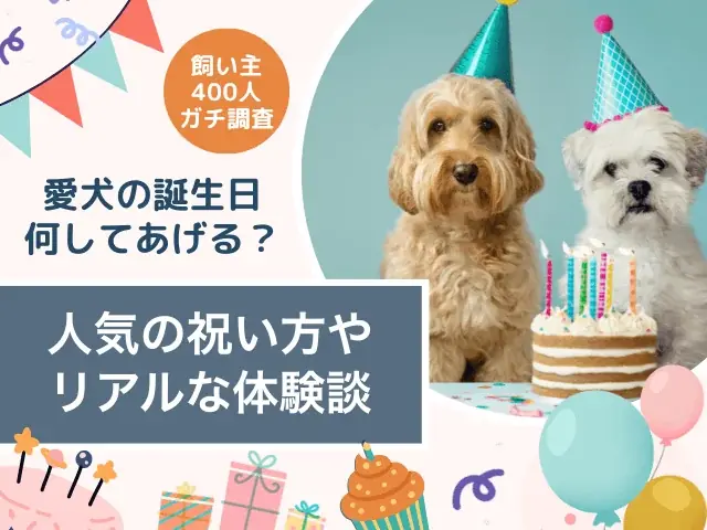 2025年7月25日調査発表！愛犬の誕生日祝い事情と人気の祝い方