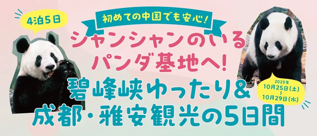 【パンダに会いに中国へ行こう！】行知学園が書籍と連動した「中国パンダ旅」を始動！　第一弾はシャンシャン特化型企画！！ 画像 1