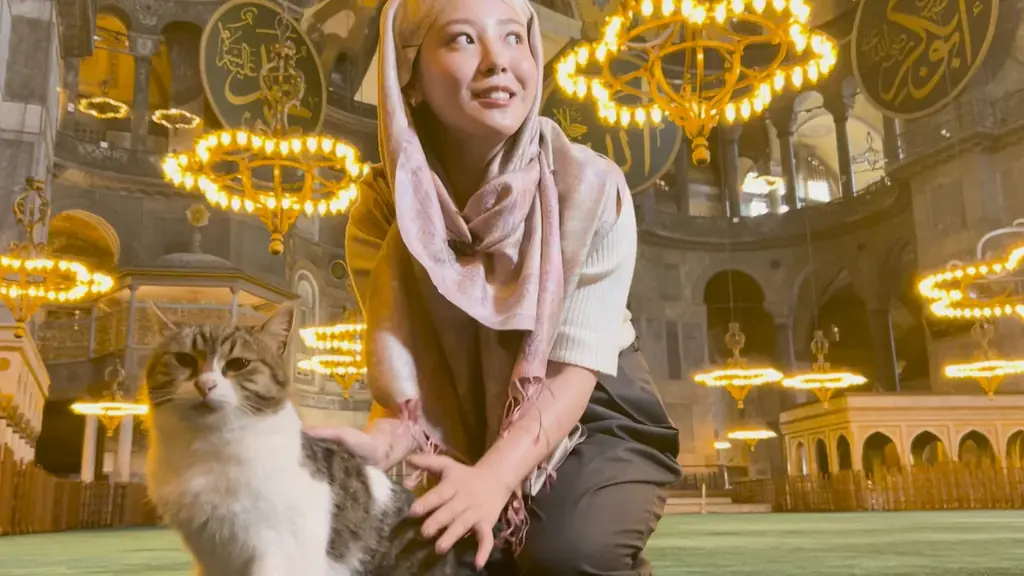 スタジオを飛び出して、初海外へ！ＭＣ森千晴が“ネコフレンドリー”な国トルコを訪ね、現地調査を決行‼ バズること確実（⁉） ネコバズり動画の達人がスマホ撮影の秘訣も伝授！ 画像 2