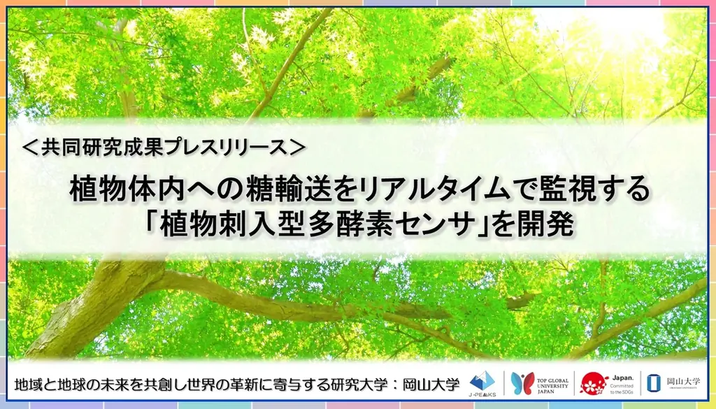 糖輸送リアルタイム計測技術