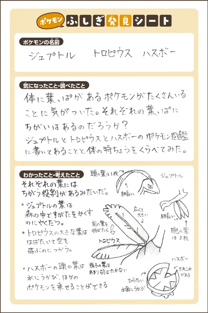 ポケモン生態図鑑 マチカドミュージアム in シブヤ のお知らせ 画像 4
