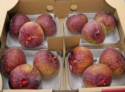 福岡県・うきは産の希少いちじくを使った贅沢スイーツが新登場! 画像 5