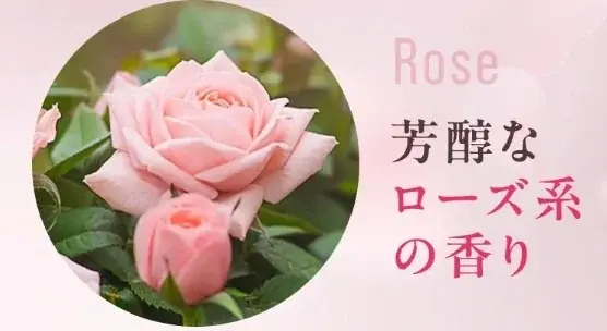 シュっとひと吹きでニオイも気分もリフレッシュ! 体臭をケア*してふんわり香る〈アロマボディミスト〉再登場 画像 2