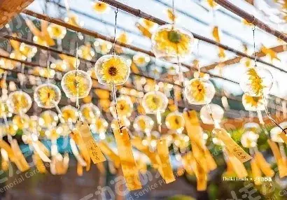 写真家『稲田 大樹』氏の風景写真がセブン‐イレブン店内マルチコピー機に登場 メモカぴあにて好評販売中! 画像 3