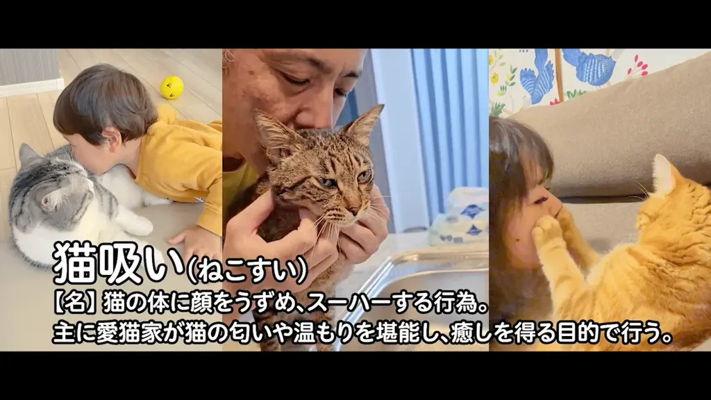 【全国の猫好き必見!】猫吸い人気ランキング 気になる1位は「頭」!?【検証】猫吸いで最も人気がある部位はどこなのか!?7月30日(水)から公開! 画像 2