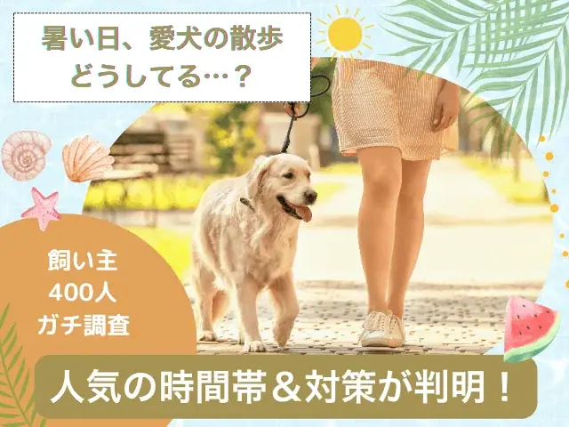 【飼い主400人に調査】暑い日の愛犬の散歩をどう乗り切る？人気の時間帯は意外にも“あの時間”！ 画像 1
