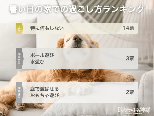 【飼い主400人に調査】暑い日の愛犬の散歩をどう乗り切る?人気の時間帯は意外にも“あの時間”! 画像 6