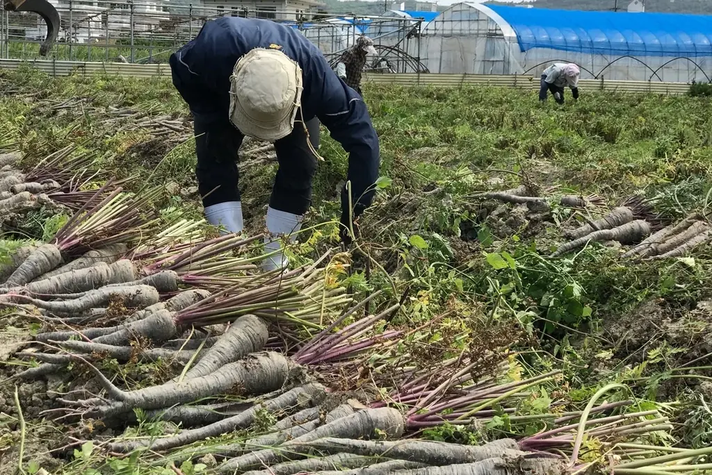 【8月2日はハーブの日】SAKEKINGが都内の銭湯4施設とコラボし、和ハーブ薬湯体験を実施。国産ハーブの魅力が詰まった空間で薬湯・入浴文化を楽しみながら心と身体のセルフケア体験をお届け 画像 3