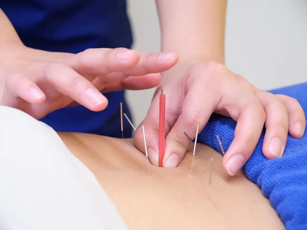 「ほねごり 接骨院・はりきゅう院 茅ヶ崎萩園院」2025年9月5日(金)オープン 画像 6