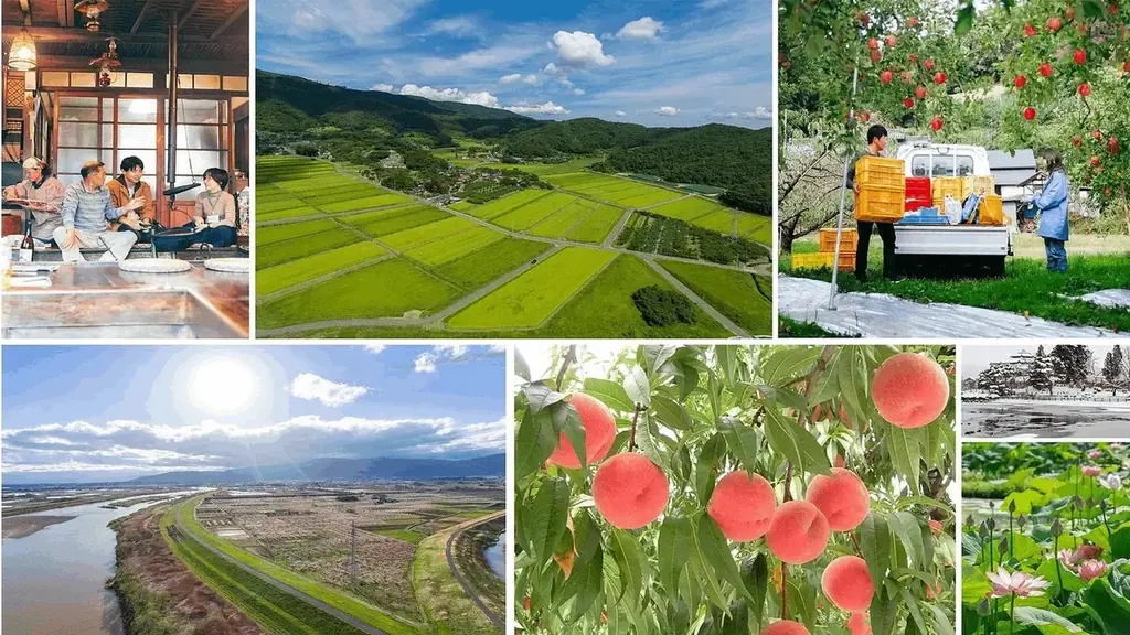 【数量限定】福島・国見町の“旬の桃”を農家直送!いまだけ味わえる夏のごほうび 画像 4