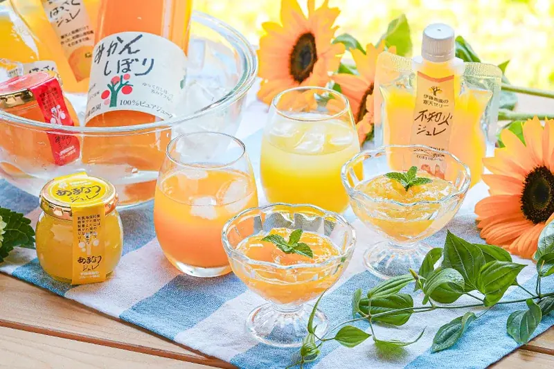【夏ギフト特集】ギフトのご利用にぴったり！人気のみかんなギフトTOP5を発表～メッセージカード＆熨斗、無料対応で、日頃の感謝を届ける夏に～ 画像 1