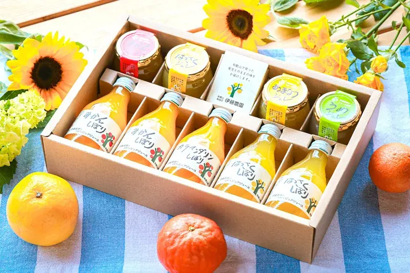 【夏ギフト特集】ギフトのご利用にぴったり!人気のみかんなギフトTOP5を発表~メッセージカード&熨斗、無料対応で、日頃の感謝を届ける夏に~ 画像 5