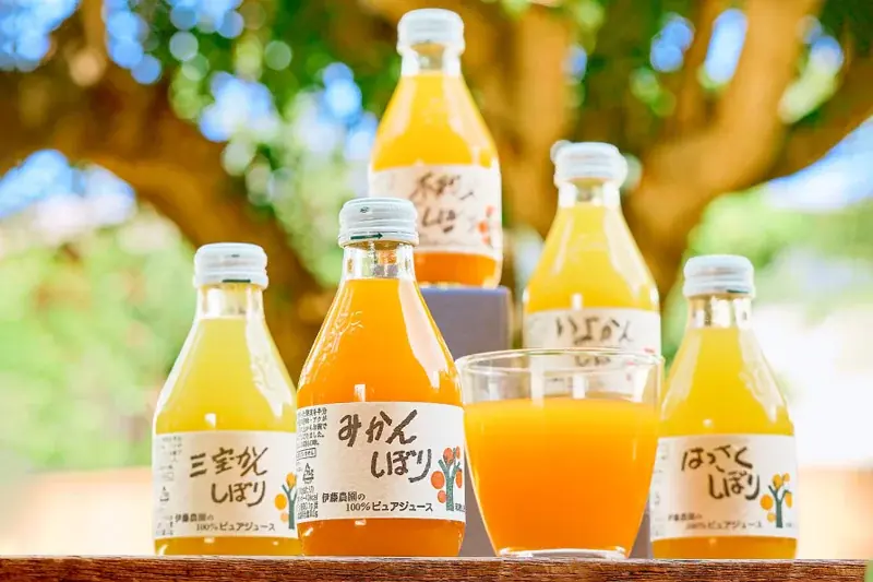【夏ギフト特集】ギフトのご利用にぴったり！人気のみかんなギフトTOP5を発表～メッセージカード＆熨斗、無料対応で、日頃の感謝を届ける夏に～ 画像 9