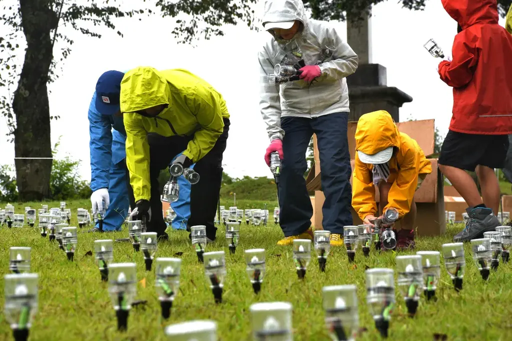 【新潟県小千谷市】イルミネーションイベント「オヂヤホタル OJIYA HOTARU illumination」を実施します（夏期：8月19日-） 画像 8