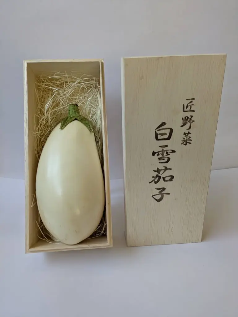 純白の高級茄子『白雪茄子』を販売開始 画像 2