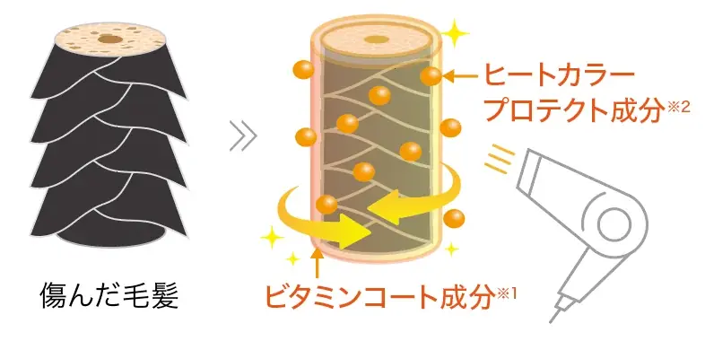 エイジング世代の2大悩み「白髪」と「うねり」を同時にケア。カラートリートメントのパイオニア「LPLP（ルプルプ）」からサロン発想のカラーシャンプー＆コンディショナーが誕生［2025年9月2日一般発売］ 画像 13