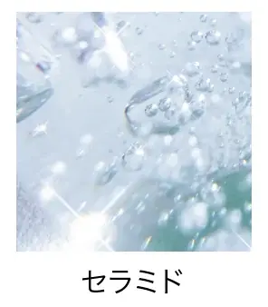 エイジング世代の2大悩み「白髪」と「うねり」を同時にケア。カラートリートメントのパイオニア「LPLP（ルプルプ）」からサロン発想のカラーシャンプー＆コンディショナーが誕生［2025年9月2日一般発売］ 画像 14