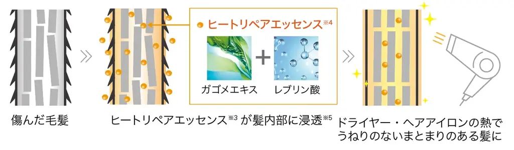 エイジング世代の2大悩み「白髪」と「うねり」を同時にケア。カラートリートメントのパイオニア「LPLP（ルプルプ）」からサロン発想のカラーシャンプー＆コンディショナーが誕生［2025年9月2日一般発売］ 画像 6