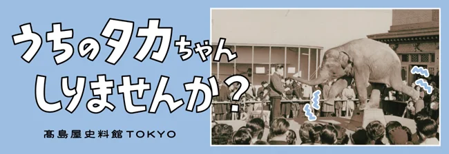 2026年3月開催「タカちゃん企画展」でゾウの魅力再発見