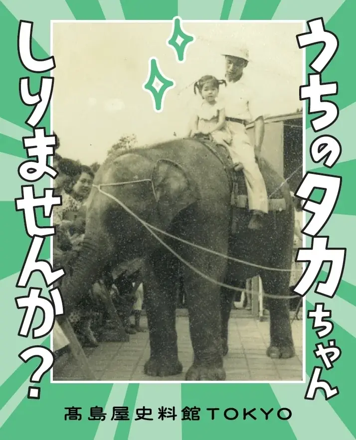 【高島屋史料館TOKYO】うちのタカちゃん 知りませんか？ 画像 4