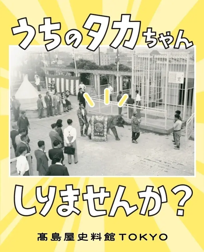 【高島屋史料館TOKYO】うちのタカちゃん 知りませんか? 画像 5