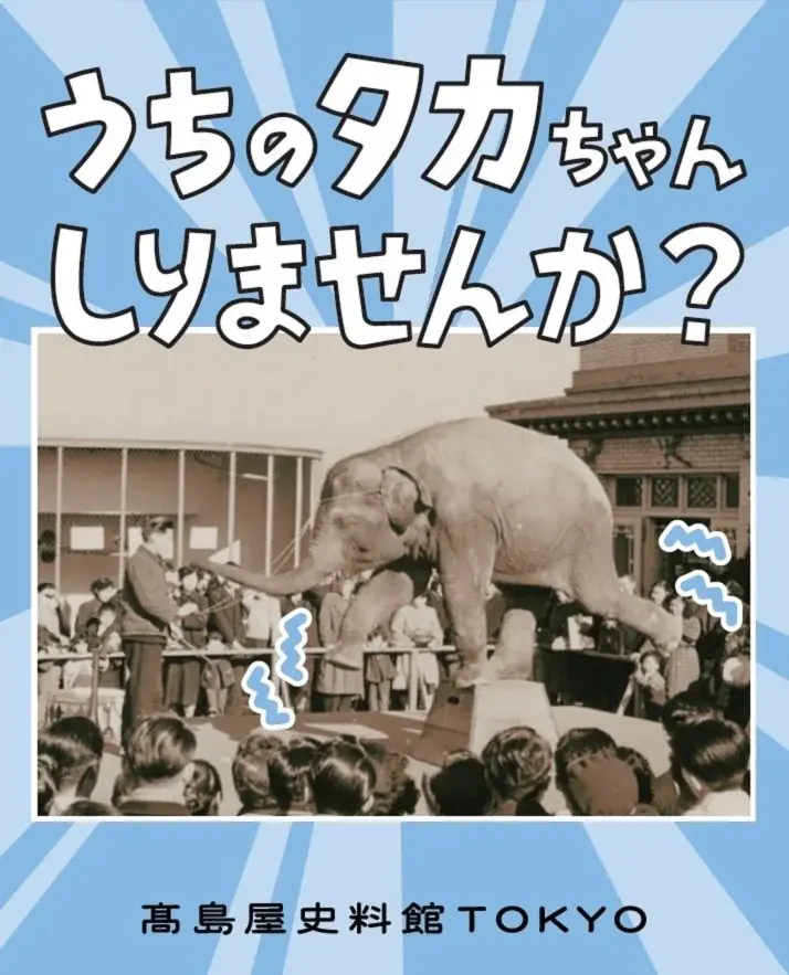 【高島屋史料館TOKYO】うちのタカちゃん 知りませんか？ 画像 6