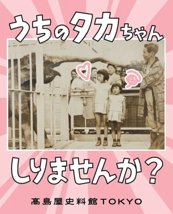 【高島屋史料館TOKYO】うちのタカちゃん 知りませんか？ 画像 8
