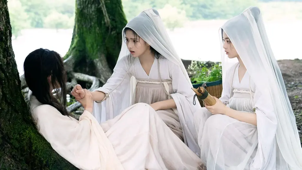 【TV初】中国ドラマ『墨雨雲間~美しき復讐~』2025年9月よりチャンネル銀河でTV初放送! 画像 4