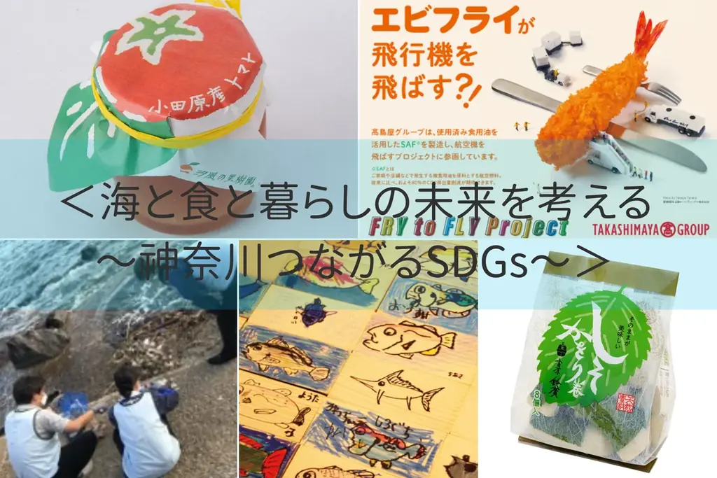 8月7日開始 横浜高島屋で海と暮らしの未来を考えるSDGsイベント