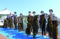 【横浜高島屋】海と暮らす街 「神奈川・横浜」 の地元企業と考える海と食と暮らしの未来!お子様も楽しめるイベントも開催! 画像 2