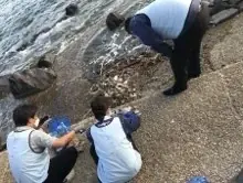 【横浜高島屋】海と暮らす街 「神奈川・横浜」 の地元企業と考える海と食と暮らしの未来!お子様も楽しめるイベントも開催! 画像 3