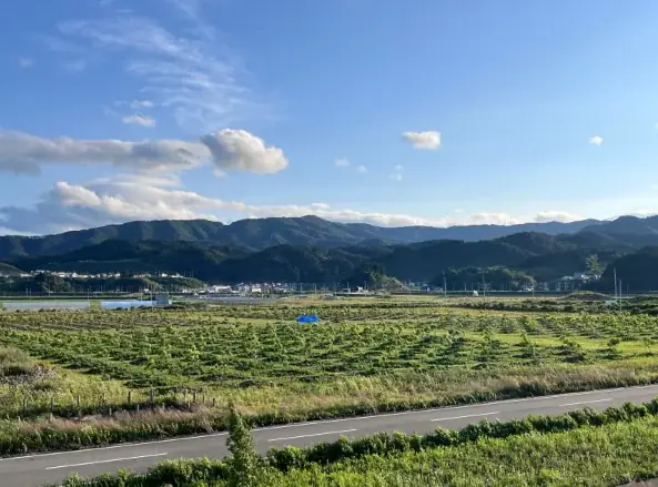 ピーカンナッツで農業再生と復興支援を！陸前高田からはじまる、持続可能な国産ナッツ産業化プロジェクト。大阪・関西万博にて初の展示が決定 画像 3