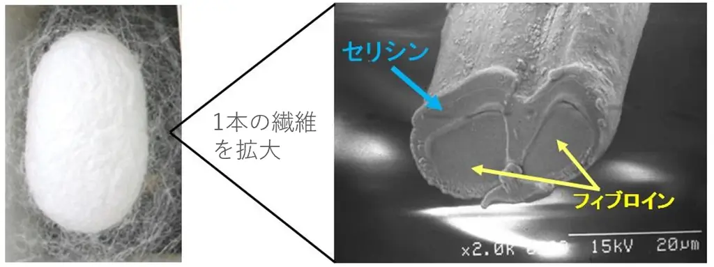 やさしさ、うるおい、浸透力。敏感肌に選ばれた一本。「コモエース ネオ 浸透ローション」がベストコスメを受賞 画像 6