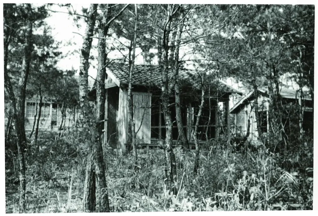 聖隷甲子園初出場